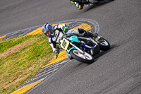 anglesey-no-limits-trackday;anglesey-photographs;anglesey-trackday-photographs;enduro-digital-images;event-digital-images;eventdigitalimages;no-limits-trackdays;peter-wileman-photography;racing-digital-images;trac-mon;trackday-digital-images;trackday-photos;ty-croes